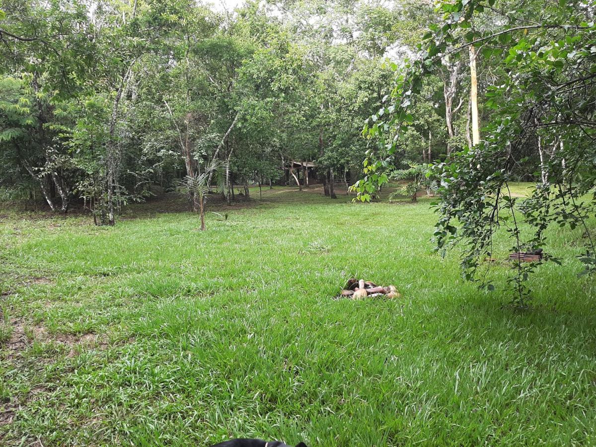 Camping Das Aguas Pirenópolis Kültér fotó