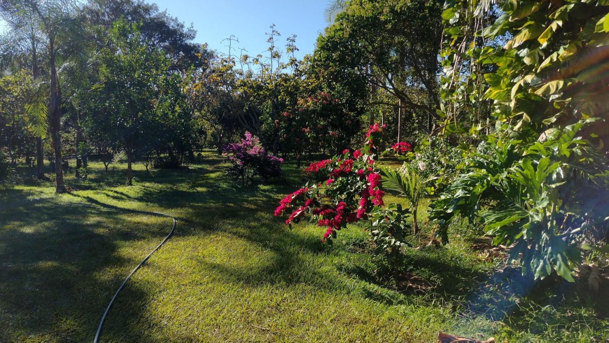 Camping Das Aguas Pirenópolis Kültér fotó