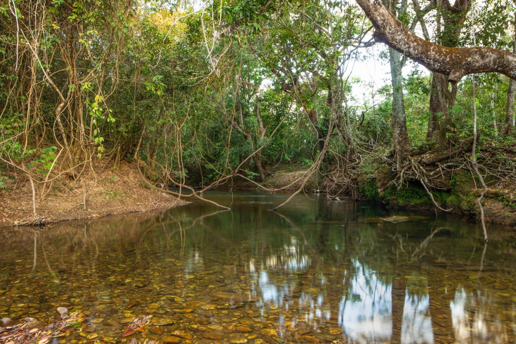 Camping Das Aguas Pirenópolis Kültér fotó